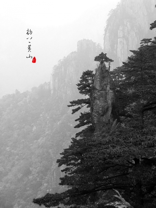 图片地址12