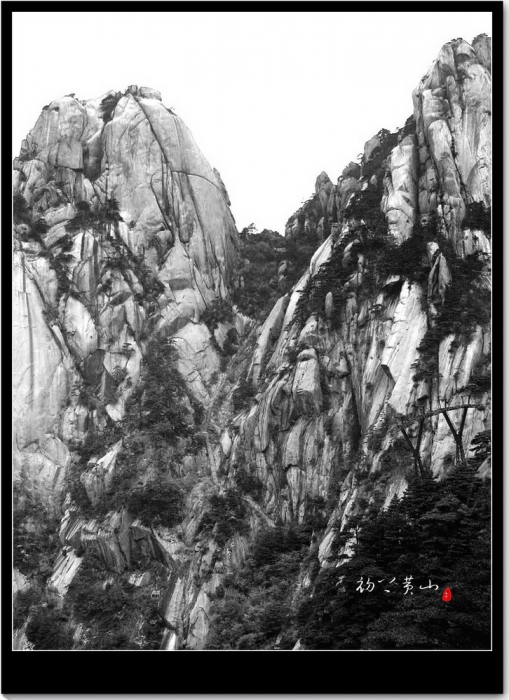 图片地址8