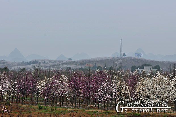 缤纷花园——簸箩农场